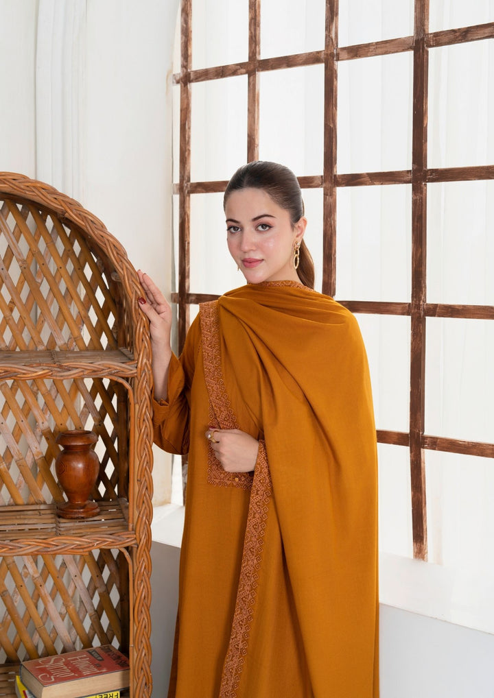 3Pc Embroidered Alpine Wool with Embroidered Border Shawl AML-W25-0017