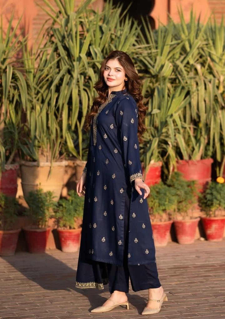 3Pc Tilla Embroidered Alpine with Tilla Embroidered Border Shawl W24-TIL-0014