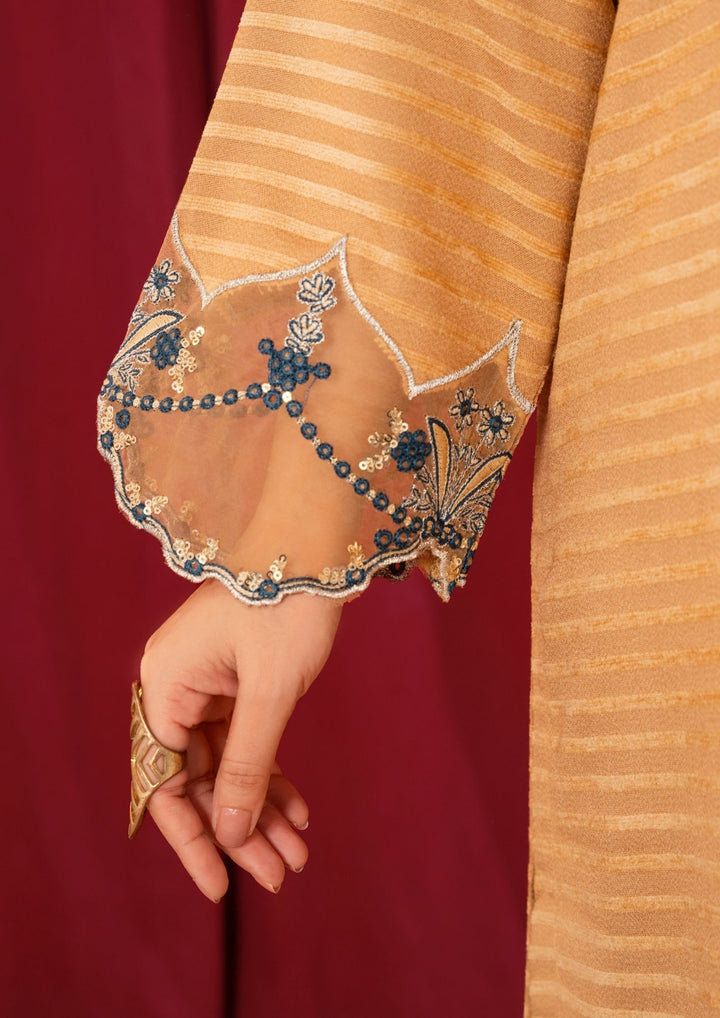 3Pc Alpine Velvet Tilla Embroidered with Velvet Shawl Skin AFP-A25-0004