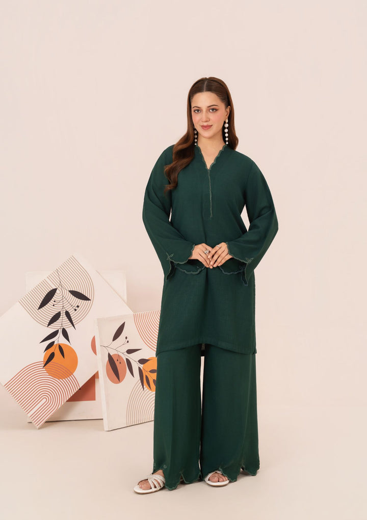 2Pc Embroidered Silk Karandi AML-W25-0056