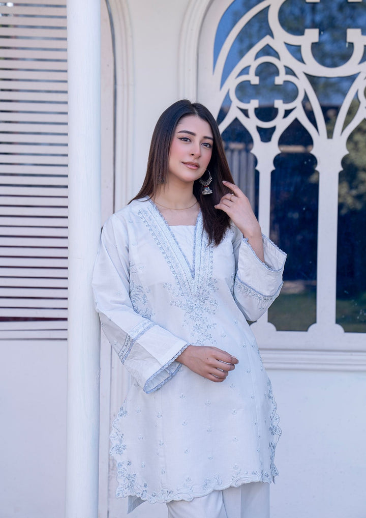 2Pc Embroidered Lawn SUM-M26-0009
