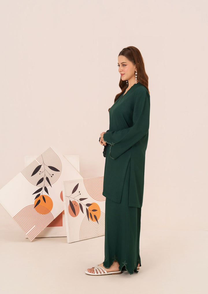 2Pc Embroidered Silk Karandi AML-W25-0056