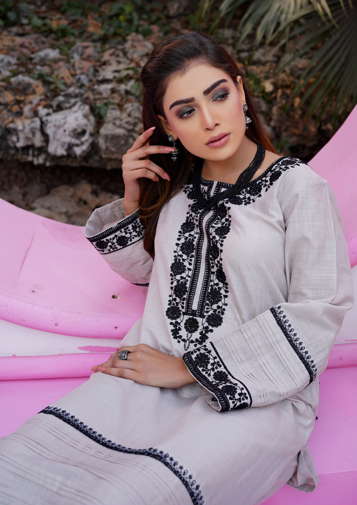 2Pc Embroidered Lawn EMB-S24-0012