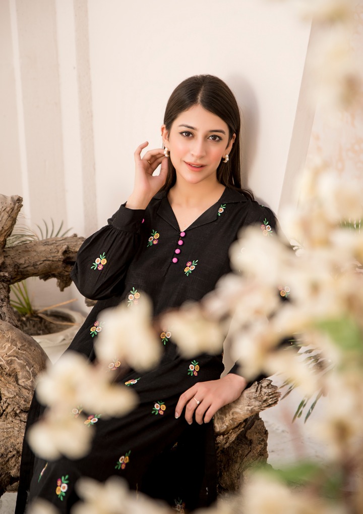 2pc Multi Embroidered Khaddar W24-EMB-0020