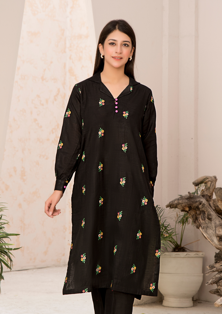 2pc Multi Embroidered Khaddar W24-EMB-0020