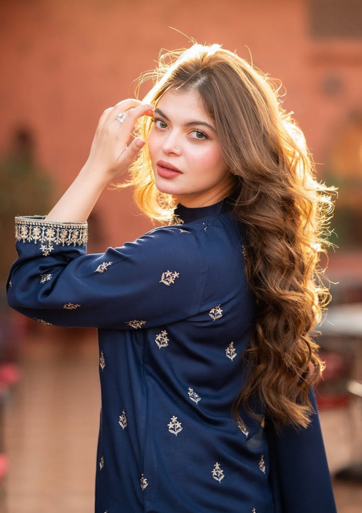 3Pc Tilla Embroidered Alpine with Tilla Embroidered Border Shawl W24-TIL-0014