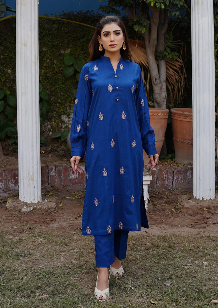2Pc Embroidered Lawn EMB-S24-0006