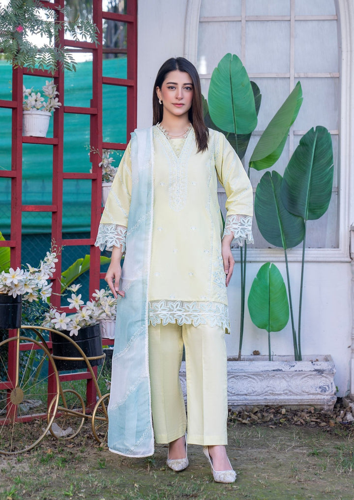3Pc Embroidered Lawn with Tie&Dye Chiffon Dupatta SUM-M26-0005