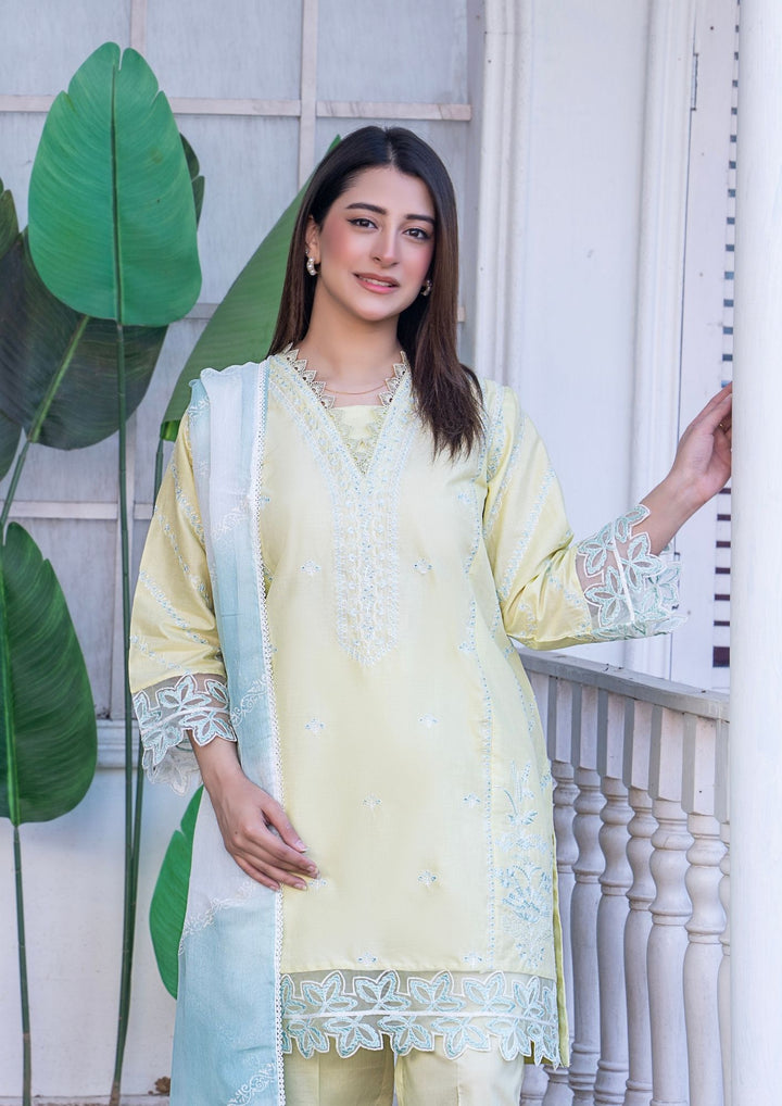 3Pc Embroidered Lawn with Tie&Dye Chiffon Dupatta SUM-M26-0005