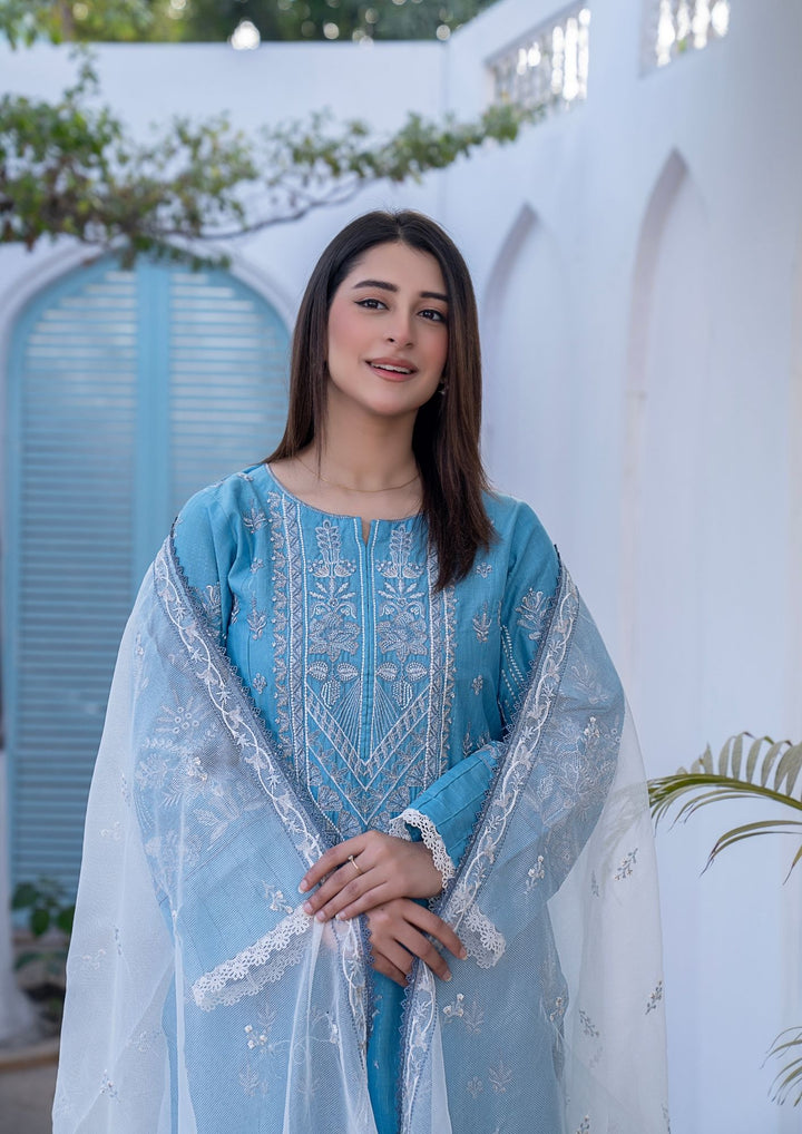 3Pc Embroidered Lawn with Check Organza Dupatta SUM-M26-0001