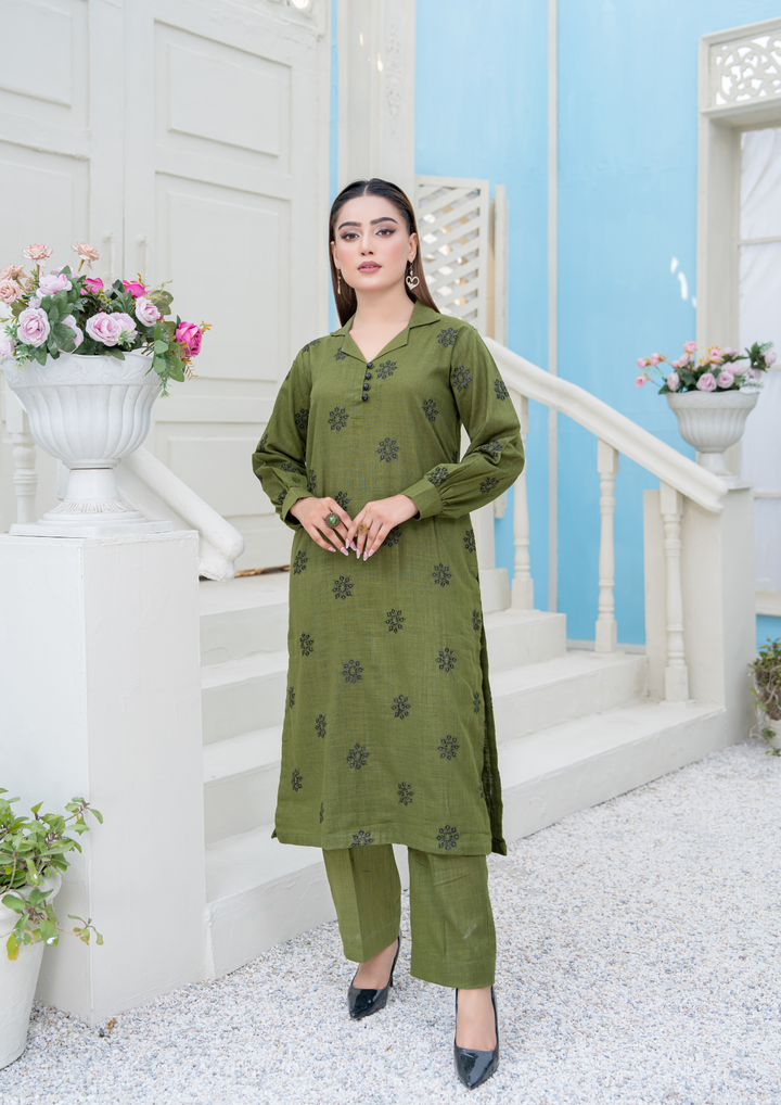 2pc Embroidered Khaddar W24-EMB-0024