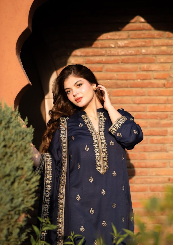 3Pc Tilla Embroidered Alpine with Tilla Embroidered Border Shawl W24-TIL-0014