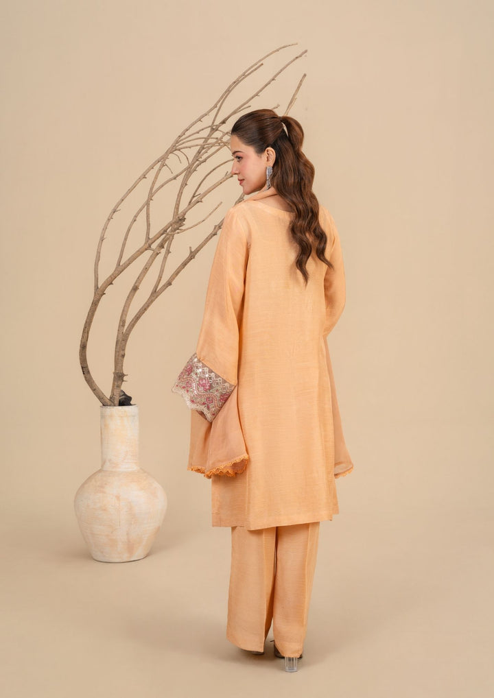 3Pc Embroidered Silk Viscose Soft Peach JASHAN-J26-0015