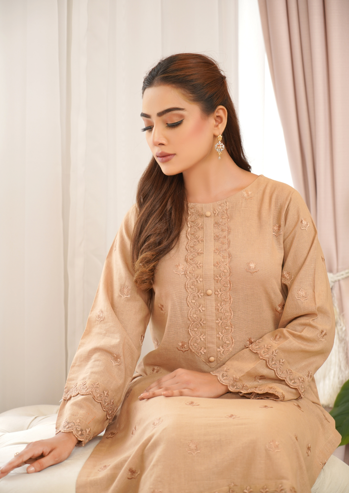 2pc Embroidered Khaddar W24-EMB-0001