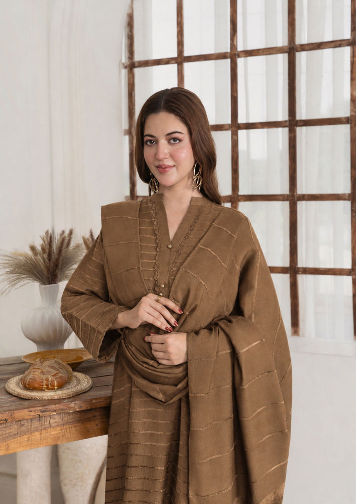 3pc Alpine Velvet Shirt with Velvet Border Shawl and Plain Trouser Chikoo AML-W26-0002