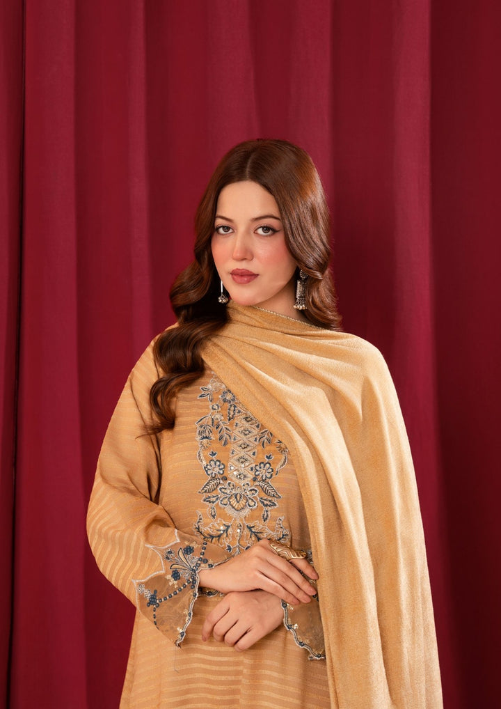 3Pc Alpine Velvet Tilla Embroidered with Velvet Shawl Skin AFP-A25-0004